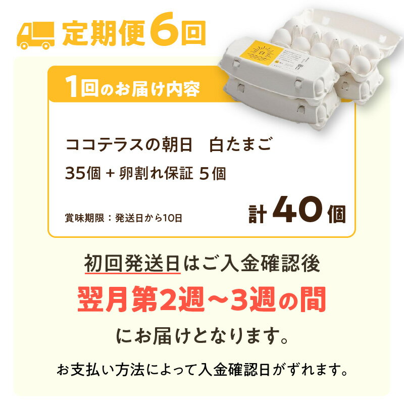 【ふるさと納税】【6ヵ月定期便】ココテラスの朝日（ 白たまご ）35個 + 5個保証【計40個】 農家直送 新鮮 卵 純植物性飼料 飼料にこだわった 卵かけご飯 米たまご 大容量 卵 定期 送料無料