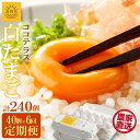 【ふるさと納税】【6ヵ月定期便】ココテラスの朝日( 白たまご )35個 + 5個保証【計40個】【 JGAP認証 】農家直送 新鮮 卵 純植物性飼料 飼料にこだわった 卵かけご飯 米たまご 大容量 卵 定期 送料無料