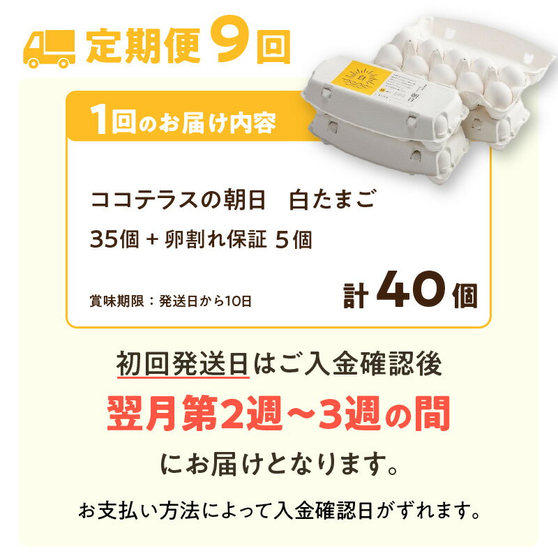 【ふるさと納税】【9ヵ月定期便】ココテラスの朝日（ 白たまご ）35個 + 5個保証【計40個】【 JGAP認証 】農家直送 新鮮 卵 純植物性飼料 飼料にこだわった 卵かけご飯 米たまご 大容量 卵 定期 送料無料