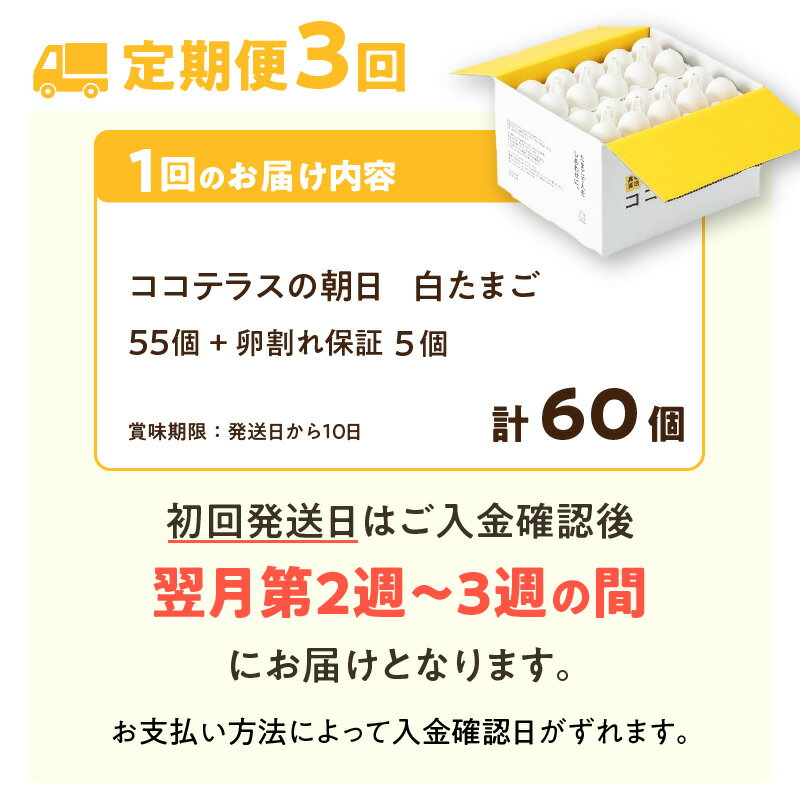 【ふるさと納税】【3ヵ月定期便】ココテラスの朝日（ 白たまご ）55個 + 5個保証【計60個】 農家直送 新鮮 卵 純植物性飼料 飼料にこだわった 卵かけご飯 米たまご 大容量 卵 定期 送料無料