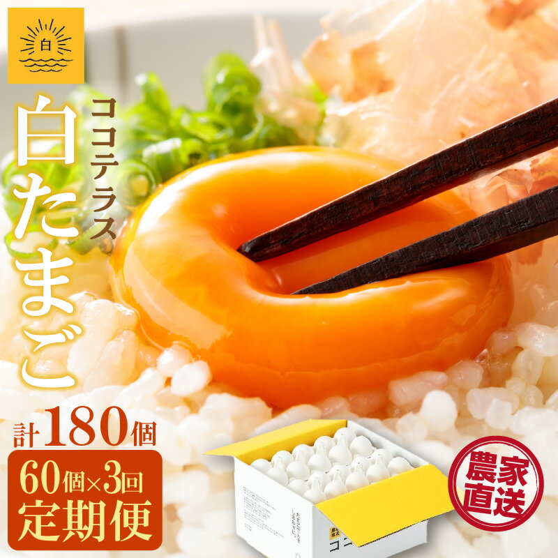 【ふるさと納税】【3ヵ月定期便】ココテラスの朝日（ 白たまご ）55個 + 5個保証【計60個】 農家直送 新鮮 卵 純植物性飼料 飼料にこだわった 卵かけご飯 米たまご 大容量 卵 定期 送料無料