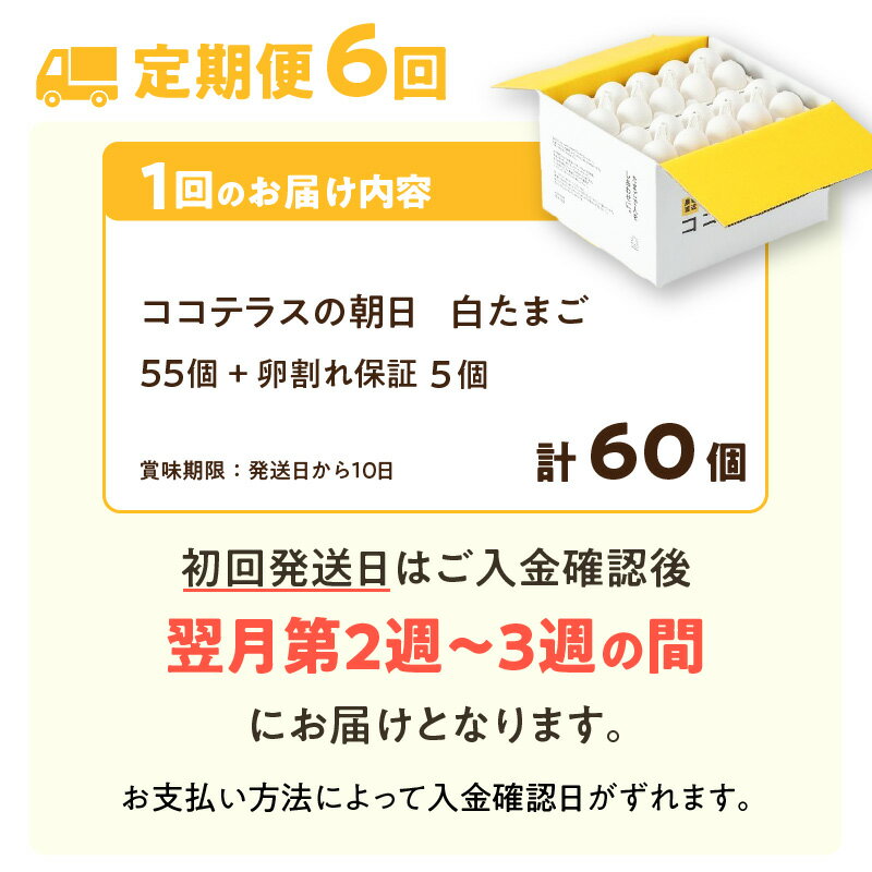 【ふるさと納税】【6ヵ月定期便】ココテラスの朝日（ 白たまご ）55個 + 5個保証【計60個】【 JGAP認証 】農家直送 新鮮 卵 純植物性飼料 飼料にこだわった 卵かけご飯 米たまご 大容量 卵 定期 送料無料