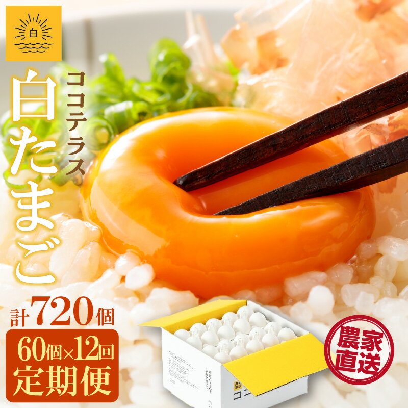 【ふるさと納税】【12ヵ月定期便】ココテラスの朝日（ 白たまご ）55個 + 5個保証【計60個】 農家直送 新鮮 卵 純植物性飼料 飼料にこだわった 卵かけご飯 米たまご 大容量 卵 定期 送料無料