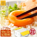 【ふるさと納税】【12ヵ月定期便】ココテラスの朝日( 白たまご )55個 + 5個保証【計60個】【 JGAP認証 】農家直送 新鮮 卵 純植物性飼料 飼料にこだわった 卵かけご飯 米たまご 大容量 卵 定期 送料無料