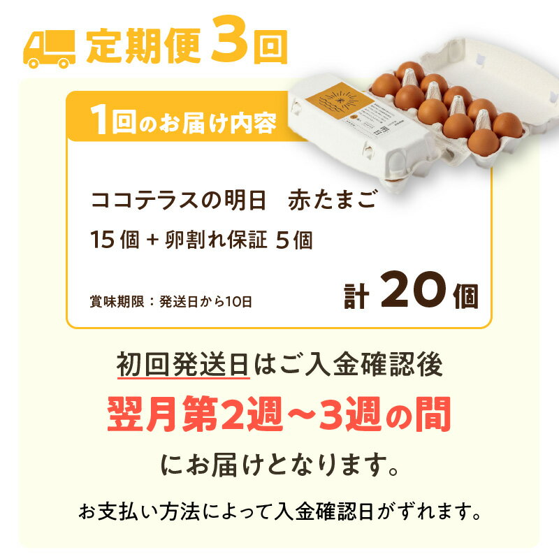 【ふるさと納税】【3ヵ月定期便】ココテラスの明日（ 赤たまご ）15個 + 5個保証【計20個】 農家直送 新鮮 卵 純植物性飼料 飼料にこだわった 卵かけご飯 米たまご 大容量 卵 定期 送料無料