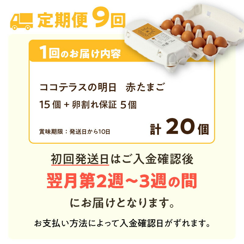 【ふるさと納税】【9ヵ月定期便】《テレビで紹介されました！》ココテラスの明日（ 赤たまご ）15個 + 5個保証【計20個】【 JGAP認証 】エサに10%の米を配合しているためコクがあります！ 農家直送 新鮮 卵 純植物性飼料 飼料にこだわった 米たまご 大容量 卵 定期 送料無料