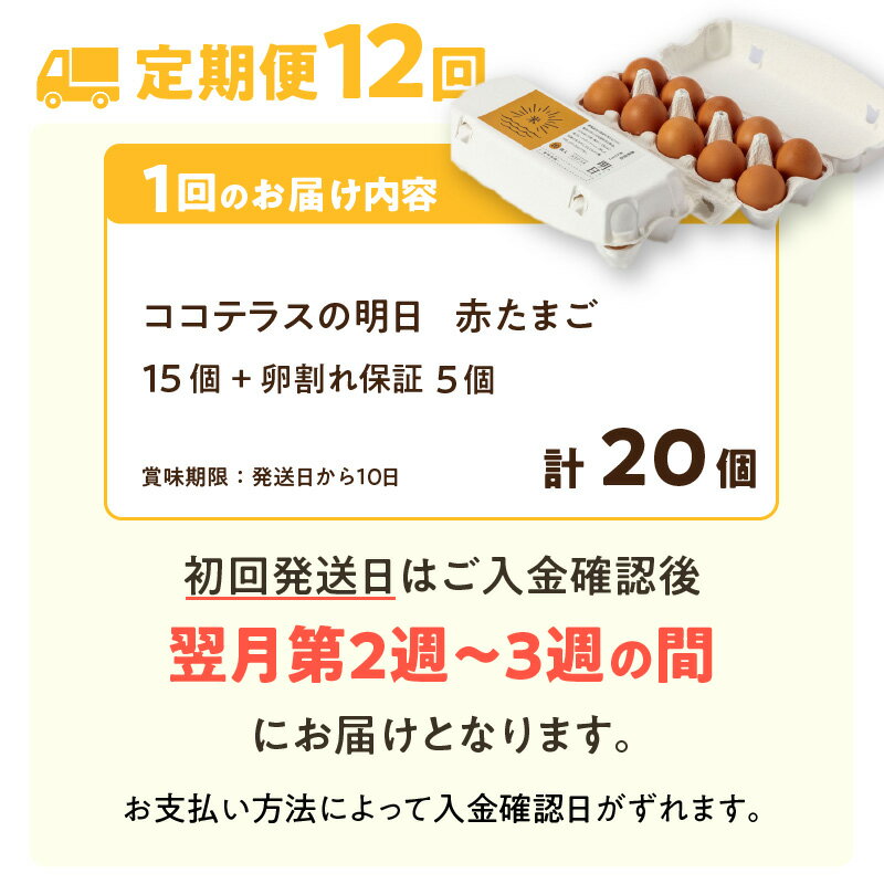 【ふるさと納税】【12ヵ月定期便】《テレビで紹介されました！》ココテラスの明日（ 赤たまご ）15個 + 5個保証【計20個】【 JGAP認証 】エサに10%の米を配合しているためコクがあります！ 農家直送 新鮮 卵 純植物性飼料 飼料にこだわった 米たまご 大容量 卵 定期 送料無料