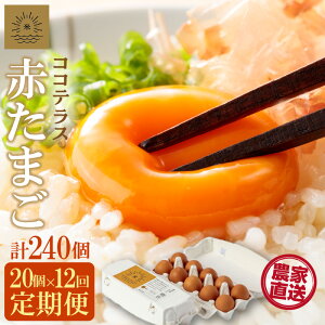 【ふるさと納税】【12ヵ月定期便】《テレビで紹介されました!》ココテラスの明日( 赤たまご )15個 + 5個保証【計20個】【 JGAP認証 】エサに10%の米を配合しているためコクがあります! 農家直送 新鮮 卵 純植物性飼料 飼料にこだわった 米たまご 大容量 卵 定期 送料無料