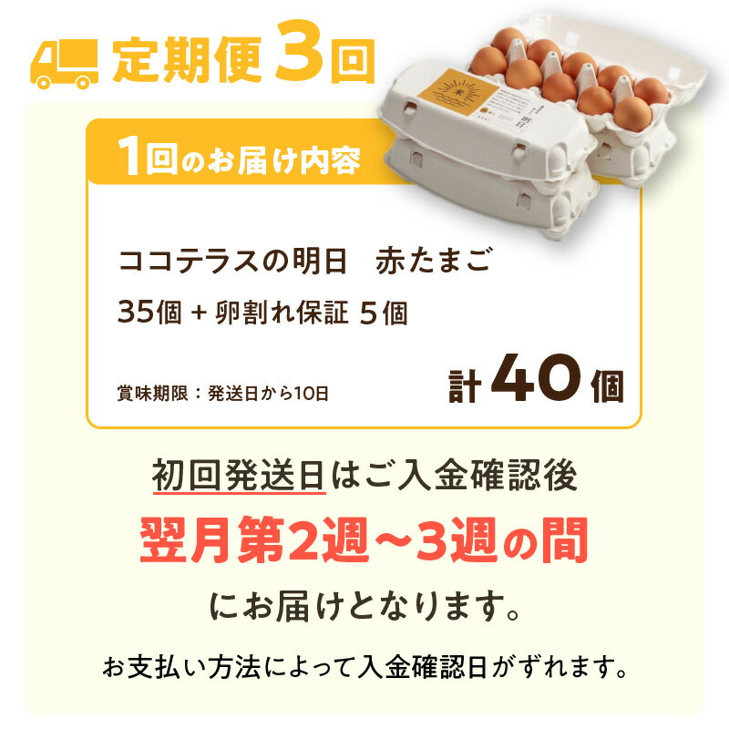 【ふるさと納税】【3ヵ月定期便】ココテラスの明日（ 赤たまご ）35個 + 5個保証【計40個】 農家直送 新鮮 卵 純植物性飼料 飼料にこだわった 卵かけご飯 米たまご 大容量 卵 定期 送料無料