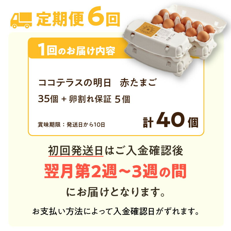 【ふるさと納税】【6ヵ月定期便】《テレビで紹介されました！》ココテラスの明日（ 赤たまご ）35個 + 5個保証【計40個】【 JGAP認証 】エサに10%の米を配合しているためコクがあります！ 農家直送 新鮮 卵 純植物性飼料 飼料にこだわった 米たまご 大容量 卵 定期 送料無料