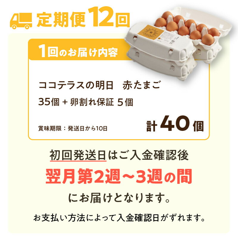 【ふるさと納税】【12ヵ月定期便】《テレビで紹介されました！》ココテラスの明日（ 赤たまご ）35個 + 5個保証【計40個】【 JGAP認証 】エサに10%の米を配合しているためコクがあります！ 農家直送 新鮮 卵 純植物性飼料 飼料にこだわった 米たまご 大容量 卵 定期 送料無料