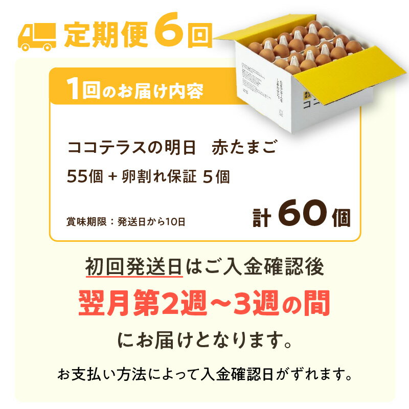 【ふるさと納税】【6ヵ月定期便】《テレビで紹介されました！》ココテラスの明日（ 赤たまご ）55個 + 5個保証【計60個】【 JGAP認証 】エサに10%の米を配合しているためコクがあります！ 農家直送 新鮮 卵 純植物性飼料 飼料にこだわった 米たまご 大容量 卵 定期 送料無料