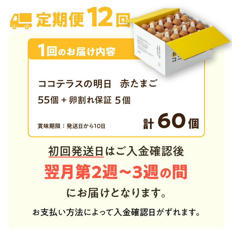 送料無料 キューピー 玉九 錦糸たまご 40g×20個