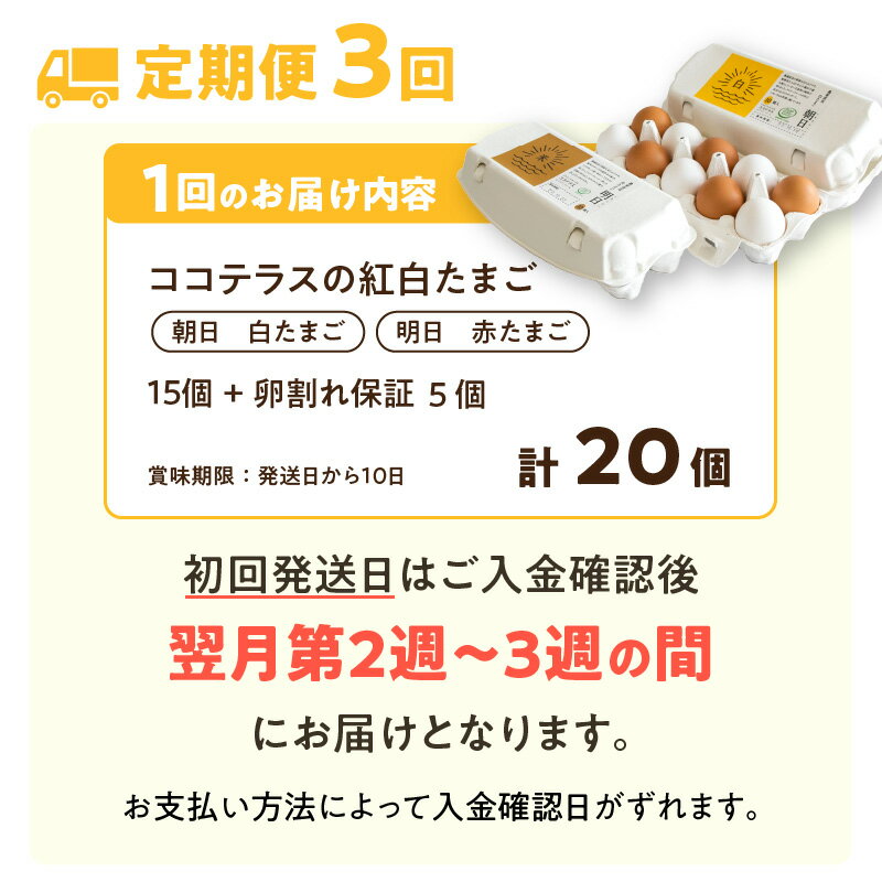 【ふるさと納税】【3ヵ月定期便】ココテラスの紅白たまご 15個 + 5個保証【計20個】 農家直送 新鮮 卵 純植物性飼料 飼料にこだわった 卵かけご飯 米たまご 大容量 卵 定期 送料無料