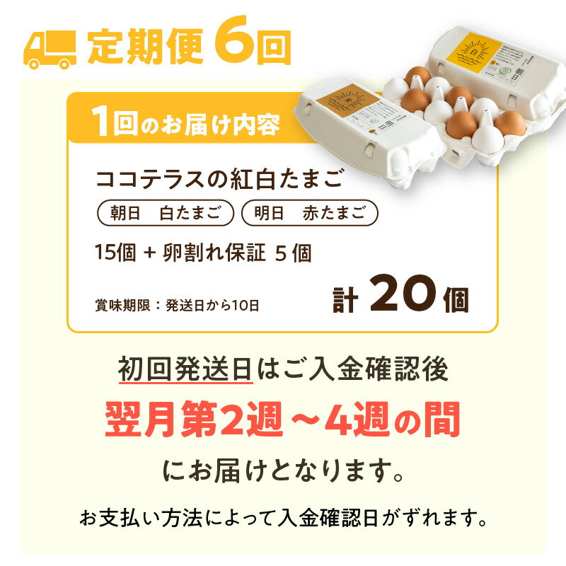 【ふるさと納税】【6ヵ月定期便】ココテラスの紅白たまご 15個 + 5個保証【計20個】【 JGAP認証 】農家直送 新鮮 卵 純植物性飼料 飼料にこだわった 卵かけご飯 米たまご 大容量 卵 定期 送料無料