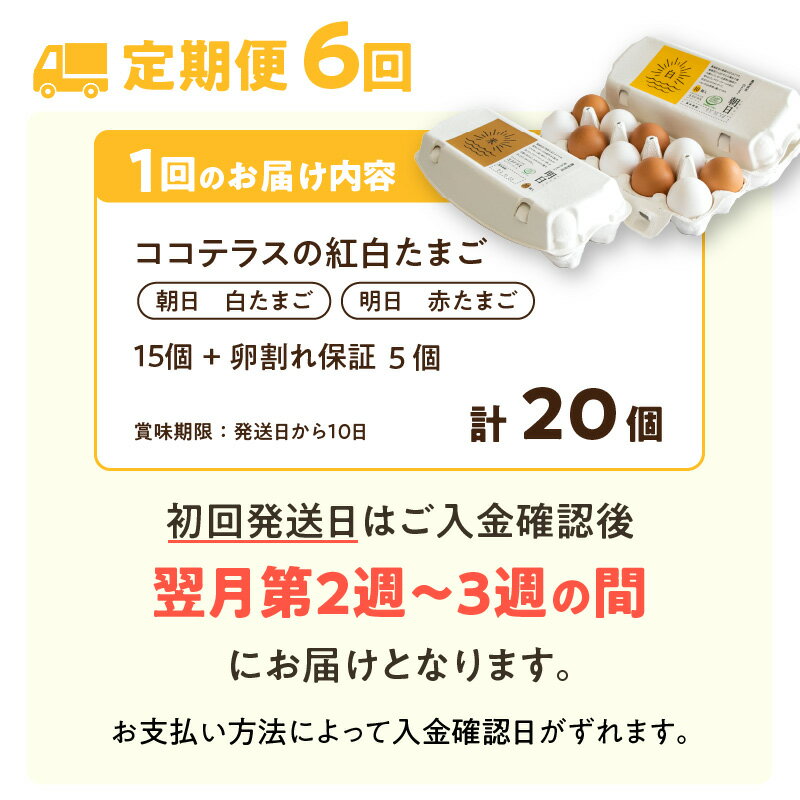 【ふるさと納税】【6ヵ月定期便】ココテラスの紅白たまご 15個 + 5個保証【計20個】 農家直送 新鮮 卵 純植物性飼料 飼料にこだわった 卵かけご飯 米たまご 大容量 卵 定期 送料無料