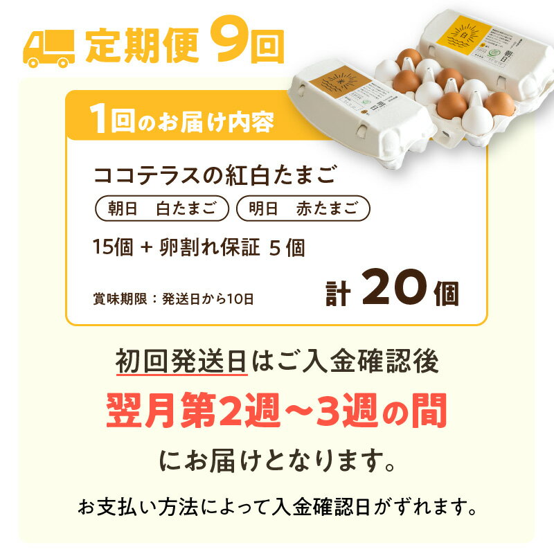 【ふるさと納税】【9ヵ月定期便】ココテラスの紅白たまご 15個 + 5個保証【計20個】 農家直送 新鮮 卵 純植物性飼料 飼料にこだわった 卵かけご飯 米たまご 大容量 卵 定期 送料無料