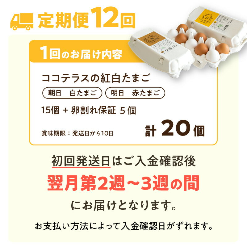 【ふるさと納税】【12ヵ月定期便】ココテラスの紅白たまご 15個 + 5個保証【計20個】【 JGAP認証 】農家直送 新鮮 卵 純植物性飼料 飼料にこだわった 卵かけご飯 米たまご 大容量 卵 定期 送料無料