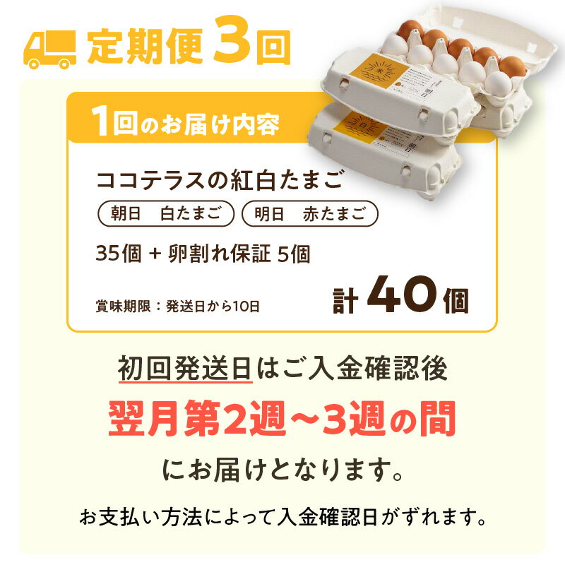 【ふるさと納税】【3ヵ月定期便】ココテラスの紅白たまご 35個 + 5個保証【計40個】 農家直送 新鮮 卵 純植物性飼料 飼料にこだわった 卵かけご飯 米たまご 大容量 卵 定期 送料無料