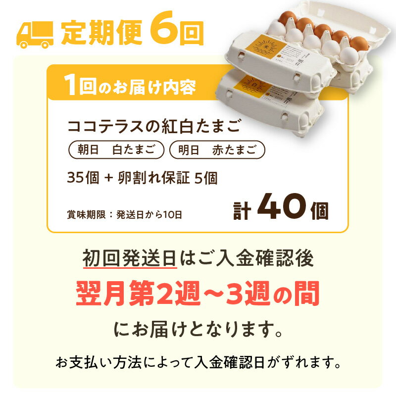 【ふるさと納税】【6ヵ月定期便】ココテラスの紅白たまご 35個 + 5個保証【計40個】 農家直送 新鮮 卵 純植物性飼料 飼料にこだわった 卵かけご飯 米たまご 大容量 卵 定期 送料無料