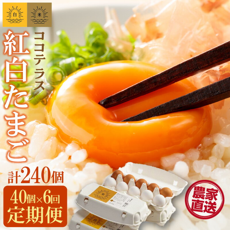【ふるさと納税】【6ヵ月定期便】ココテラスの紅白たまご 35個 + 5個保証【計40個】 農家直送 新鮮 卵 純植物性飼料 飼料にこだわった 卵かけご飯 米たまご 大容量 卵 定期 送料無料