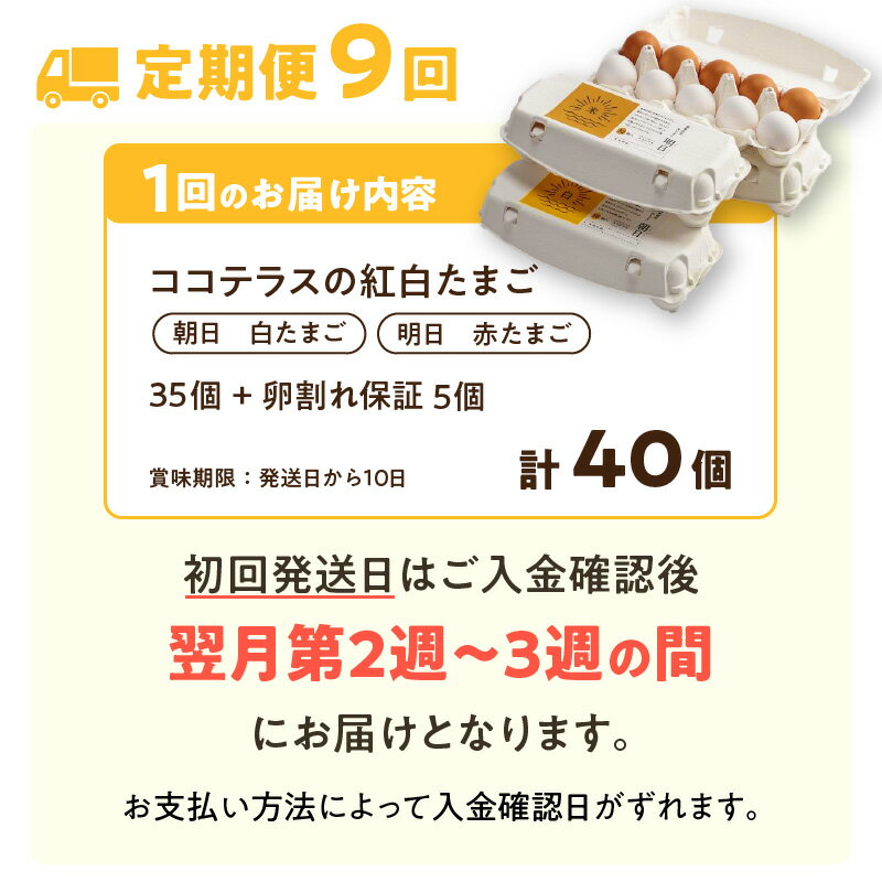 【ふるさと納税】【9ヵ月定期便】ココテラスの紅白たまご 35個 + 5個保証【計40個】【 JGAP認証 】農家直送 新鮮 卵 純植物性飼料 飼料にこだわった 卵かけご飯 米たまご 大容量 卵 定期 送料無料