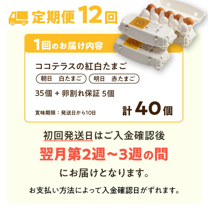 【ふるさと納税】【12ヵ月定期便】ココテラスの紅白たまご 35個 + 5個保証【計40個】 農家直送 新鮮 卵 純植物性飼料 飼料にこだわった 卵かけご飯 米たまご 大容量 卵 定期 送料無料