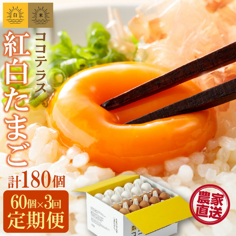 【ふるさと納税】【3ヵ月定期便】ココテラスの紅白たまご 55個 + 5個保証【計60個】 農家直送 新鮮 卵 純植物性飼料 飼料にこだわった 卵かけご飯 米たまご 大容量 卵 定期 送料無料