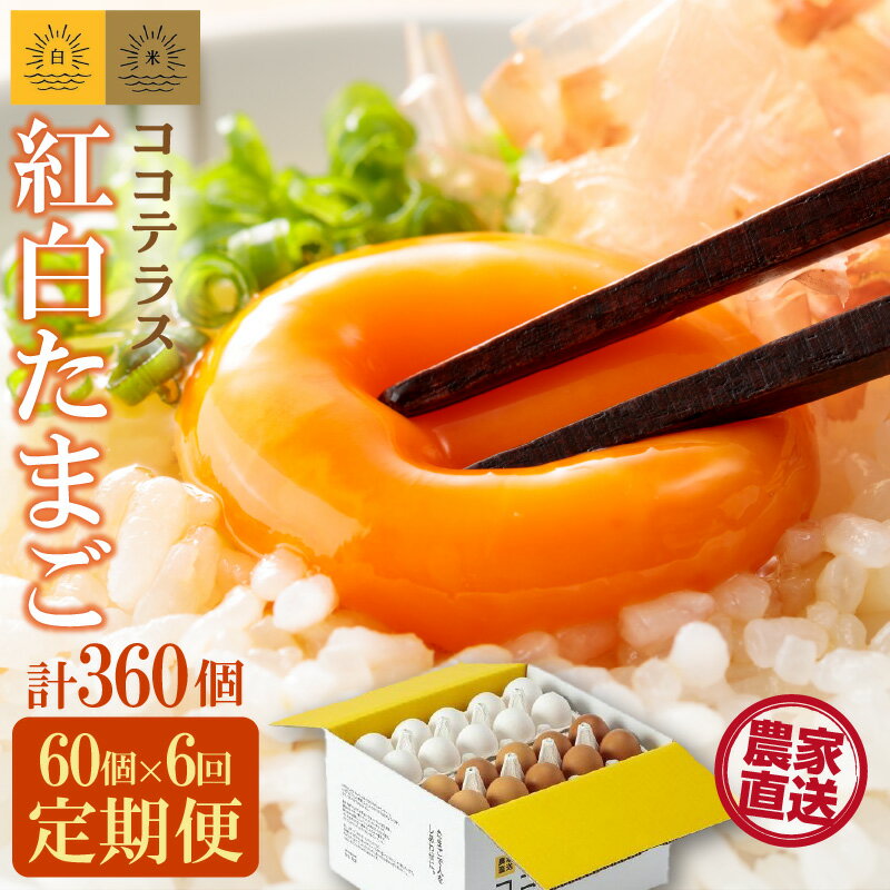 【ふるさと納税】【6ヵ月定期便】ココテラスの紅白たまご 55個 + 5個保証【計60個】 農家直送 新鮮 卵 純植物性飼料 飼料にこだわった 卵かけご飯 米たまご 大容量 卵 定期 送料無料