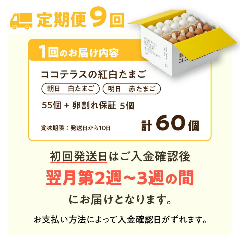 【ふるさと納税】【9ヵ月定期便】ココテラスの紅白たまご 55個 + 5個保証【計60個】【 JGAP認証 】農家直送 新鮮 卵 純植物性飼料 飼料にこだわった 卵かけご飯 米たまご 大容量 卵 定期 送料無料