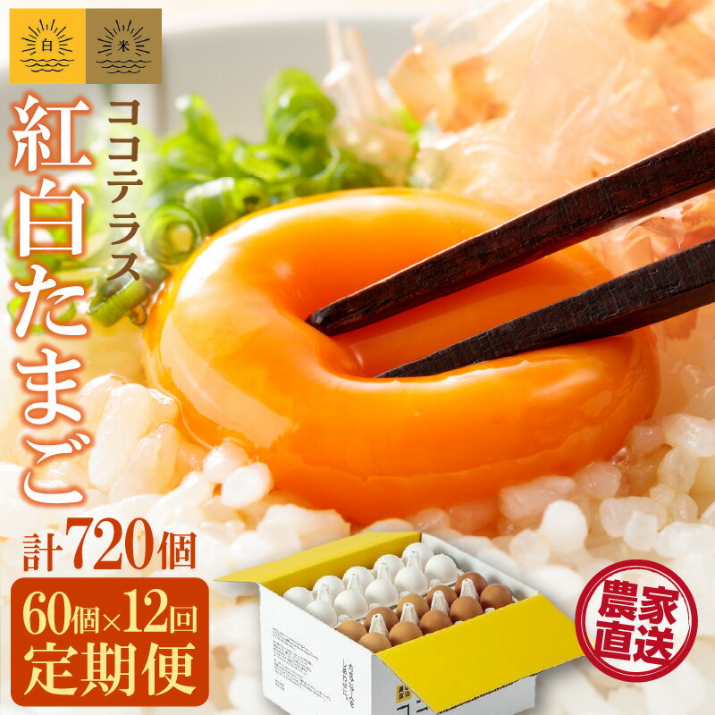 【ふるさと納税】【12ヵ月定期便】ココテラスの紅白たまご 55個 + 5個保証【計60個】 農家直送 新鮮 卵 純植物性飼料 飼料にこだわった 卵かけご飯 米たまご 大容量 卵 定期 送料無料