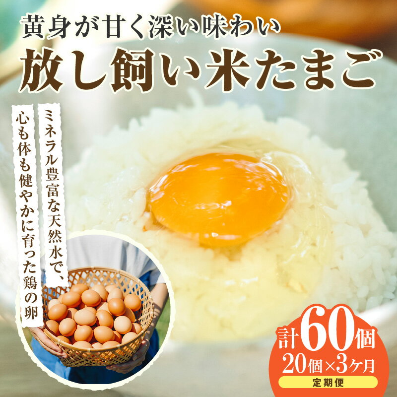 【ふるさと納税】【3ヵ月定期便】放し飼い 米たまご 15個+5個保証【計20個】 農家直送 赤たまご 新鮮 卵 純植物性飼料 飼料にこだわった 卵かけご飯 卵 定期便 3回 送料無料