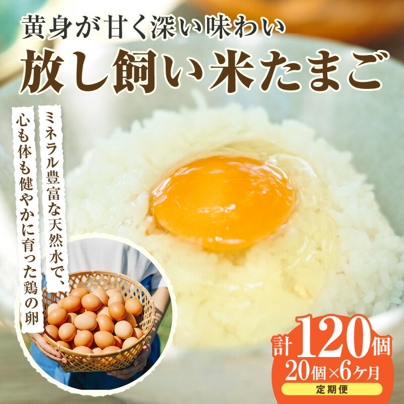 【ふるさと納税】【6ヵ月定期便】放し飼い 米たまご 15個+5個保証【計20個】 農家直送 赤たまご 新鮮 卵 純植物性飼料 飼料にこだわった 卵かけご飯 卵 定期便 6回 送料無料