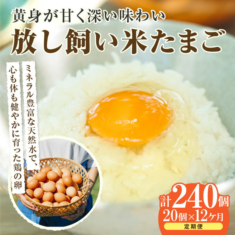 【ふるさと納税】【12ヵ月定期便】放し飼い 米たまご 15個+5個保証【計20個】 農家直送 赤たまご 新鮮 卵 純植物性飼料 飼料にこだわった 卵かけご飯 卵 定期便 12回 送料無料