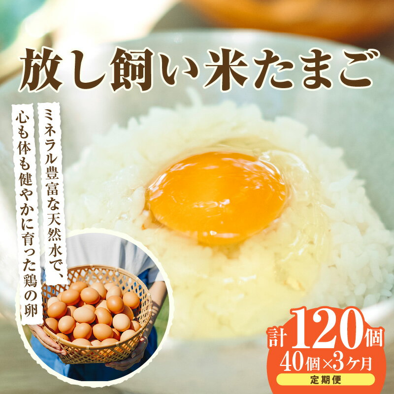 【ふるさと納税】【3ヵ月定期便】放し飼い 米たまご 35個+5個保証【計40個】 農家直送 赤たまご 新鮮 卵 純植物性飼料 飼料にこだわった 卵かけご飯 卵 定期便 3回 送料無料