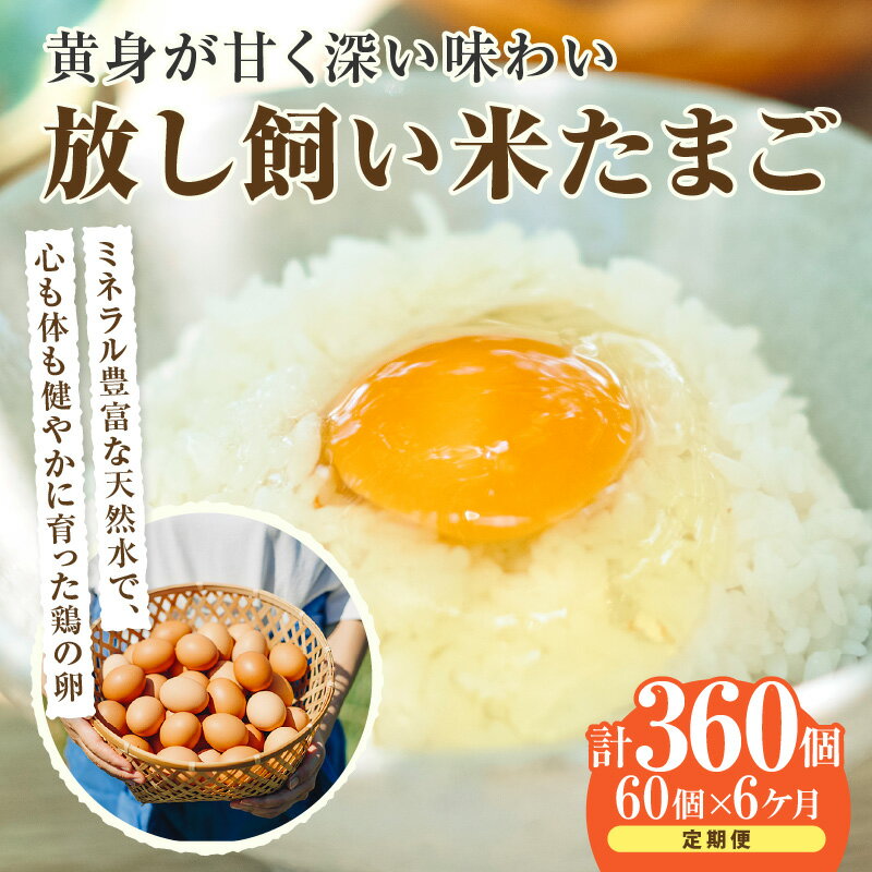 【ふるさと納税】【6ヵ月定期便】放し飼い 米たまご 55個+5個保証【計60個】 農家直送 赤たまご 新鮮 卵 純植物性飼料 飼料にこだわった 卵かけご飯 卵 定期便 6回 送料無料