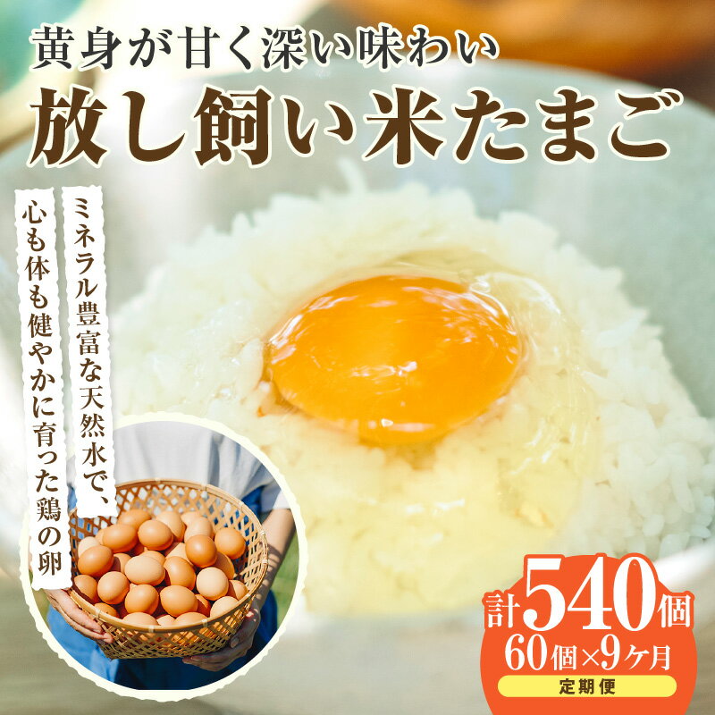 【ふるさと納税】【9ヵ月定期便】放し飼い 米たまご 55個+5個保証【計60個】 農家直送 赤たまご 新鮮 卵 純植物性飼料 飼料にこだわった 卵かけご飯 卵 定期便 9回 送料無料