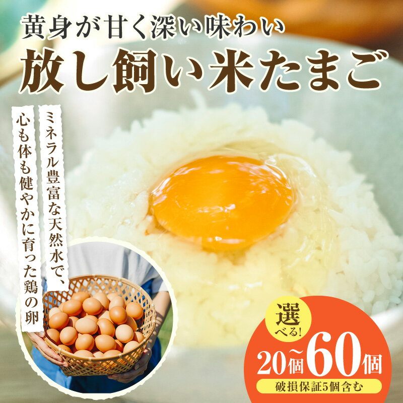 【ふるさと納税】 放し飼い 米たまご 【選べる個数 15個・35個・55個】【＋5個の割れ保証付き】 遺伝子組み換えのない飼料で育てました。 赤卵 卵 おいしい 卵かけご飯 安心・安全 生鮮食品 贈り物 ココテラス 送料無料