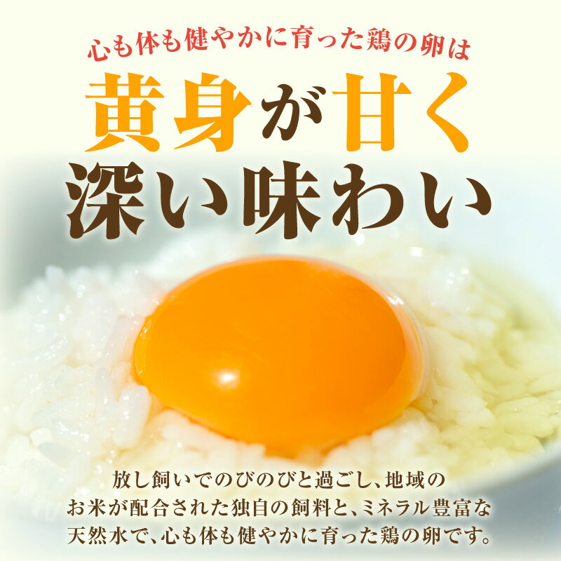 【ふるさと納税】【3ヵ月定期便】放し飼い 米たまご 15個+5個保証【計20個】 農家直送 赤たまご 新鮮 卵 純植物性飼料 飼料にこだわった 卵かけご飯 卵 定期便 3回 送料無料