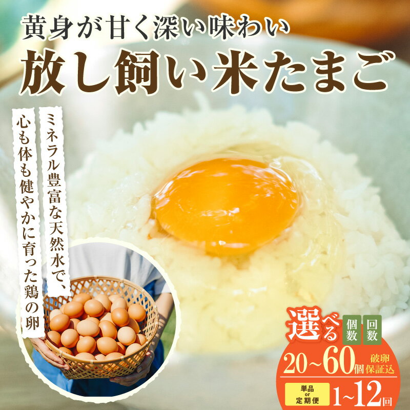 【ふるさと納税】 放し飼い 米たまご【選べる個数・お届け回数】【＋5個の割れ保証付き】 遺伝子組み換えのない飼料で育てました。 赤卵 卵 おいしい 卵かけご飯 安心・安全 生鮮食品 贈り物 ココテラス 送料無料