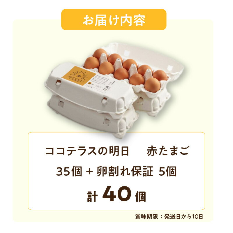 【ふるさと納税】《テレビで紹介されました！》ココテラスの明日（ 赤たまご ）35個+5個保証【計40個】【 JGAP認証 】エサに10%の米を配合しているためコクがあります！ 農家直送 新鮮 卵 赤卵 飼料にこだわった 卵かけご飯 米たまご 大容量 送料無料