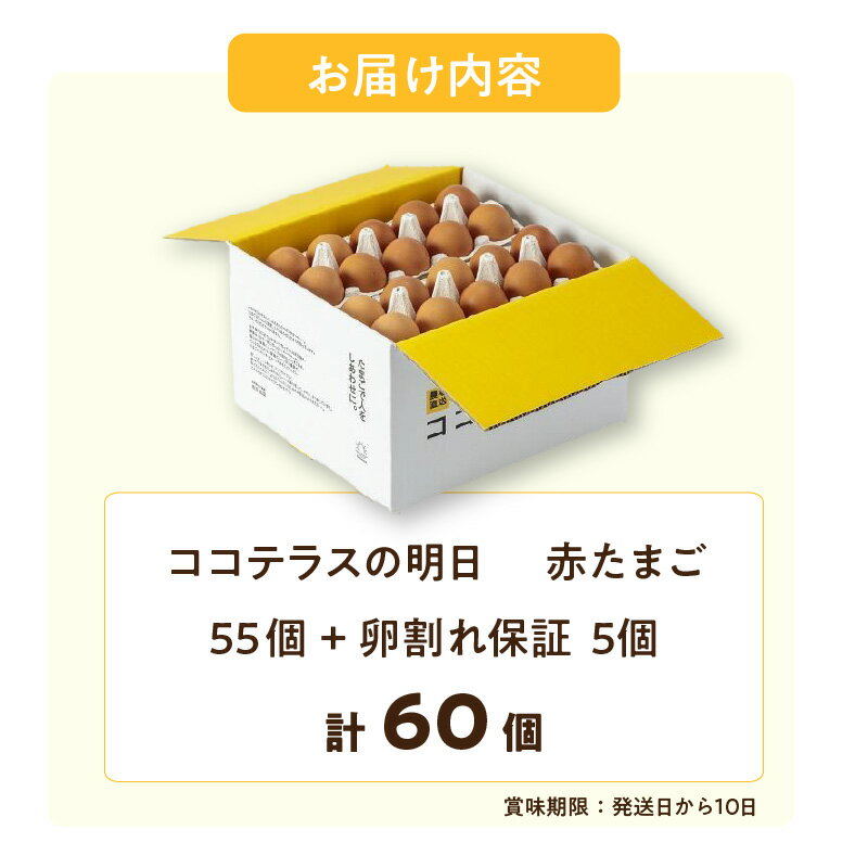 浤良台湾咸鴨蛋6個入【2点】咸蛋 咸鴨蛋 塩漬け卵 アヒルの卵 台湾産 6個入x2点