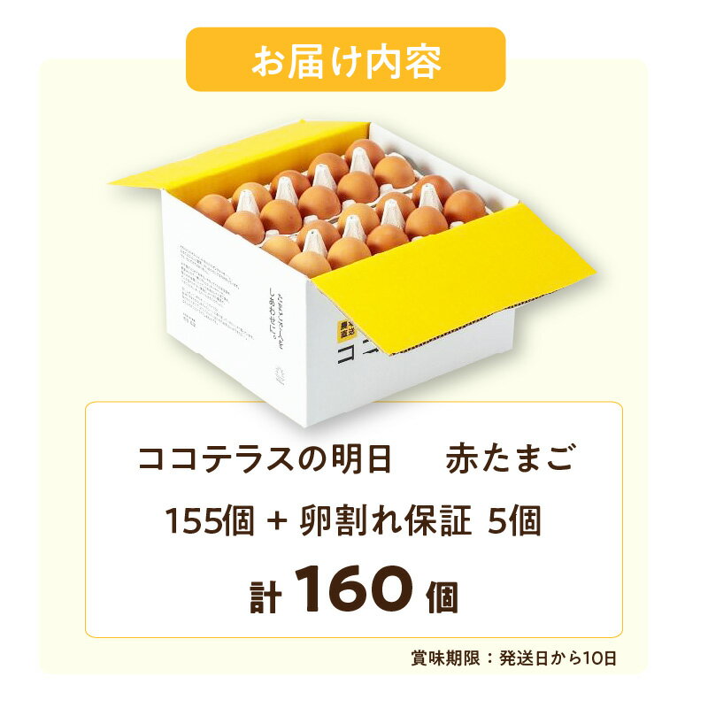 【ふるさと納税】《テレビで紹介されました！》ココテラスの明日（ 赤たまご ）155個+5個保証【計160個】【 JGAP認証 】エサに10%の米を配合しているためコクがあります！ 農家直送 新鮮 卵 赤卵 飼料にこだわった 卵かけご飯 米たまご 大容量 送料無料
