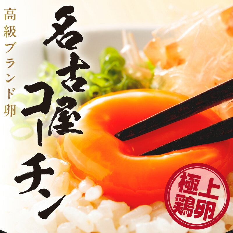 【ふるさと納税】【 高級 】名古屋コーチン 4パック【計24個】【 JGAP認証 】6個入 飼料にこだわった 採れたて卵 新鮮 希少 たまご 安心 安全 農家直送 たまごかけご飯 生卵 美味しい卵 愛知県 常滑市 送料無料