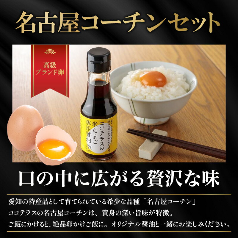 【ふるさと納税】【高級】 名古屋コーチン セット 【 6個入 × 2パック ・ 米たまご専用醤油 】【 JGAP認証 】たまご TKG ココテラス 高級たまご 卵 贅沢 お土産 贈り物 希少 朝食 デイリーファーム 赤卵 グルメ お取り寄せ 卵かけご飯専用醤油 送料無料
