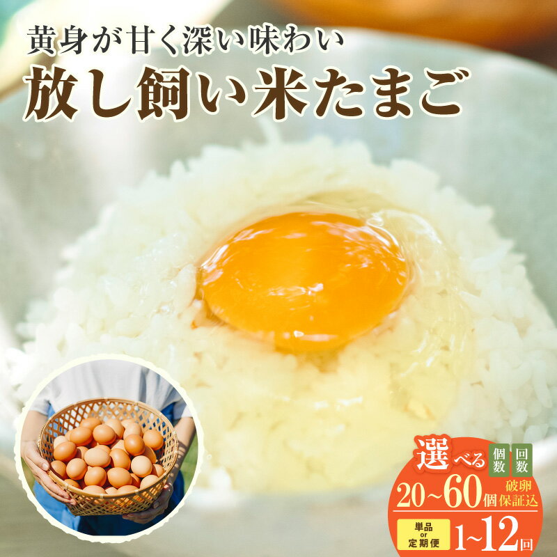 【ふるさと納税】 放し飼い 米たまご【選べる個数・お届け回数】【＋5個の割れ保証付き】 遺伝子組み換..