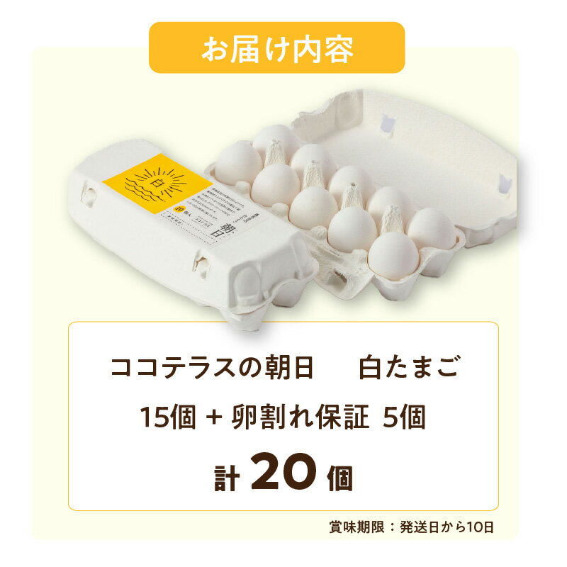 【ふるさと納税】ココテラスの朝日（ 白たまご ）15個 + 5個保証【計20個】 農家直送 新鮮 卵 純植物性飼料 飼料にこだわった 卵かけご飯 米たまご 大容量 卵 送料無料