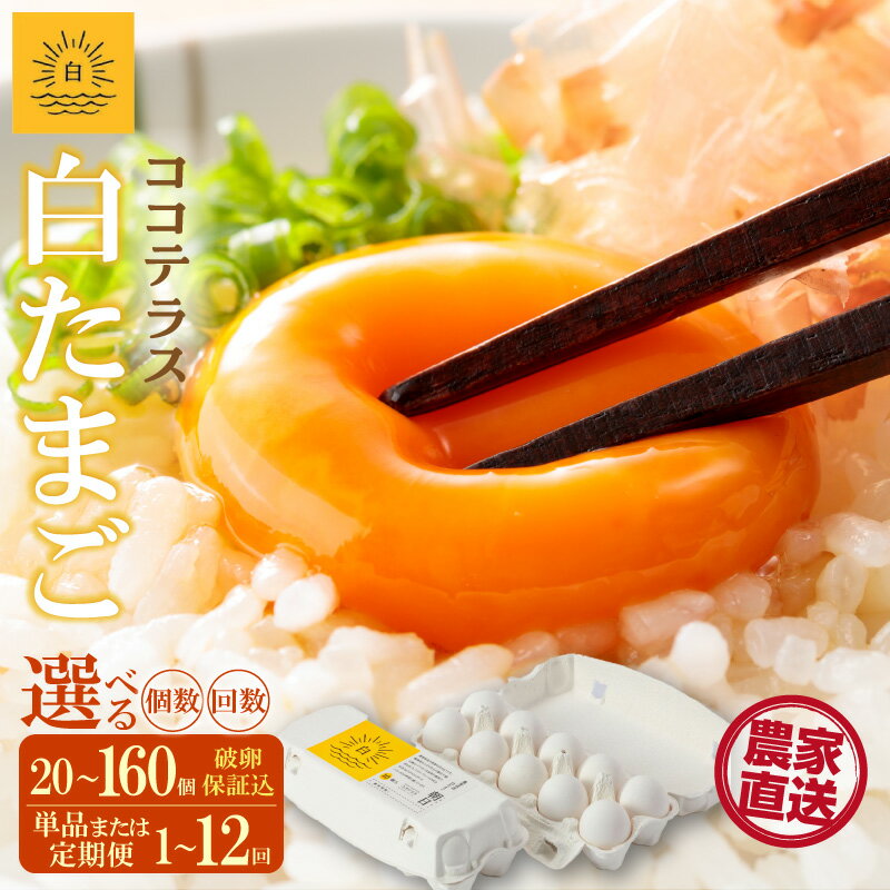 【ふるさと納税】ココテラスの朝日（ 白たまご ）【選べる個数・お届け回数】【 JGAP認証 】農家直送 ..