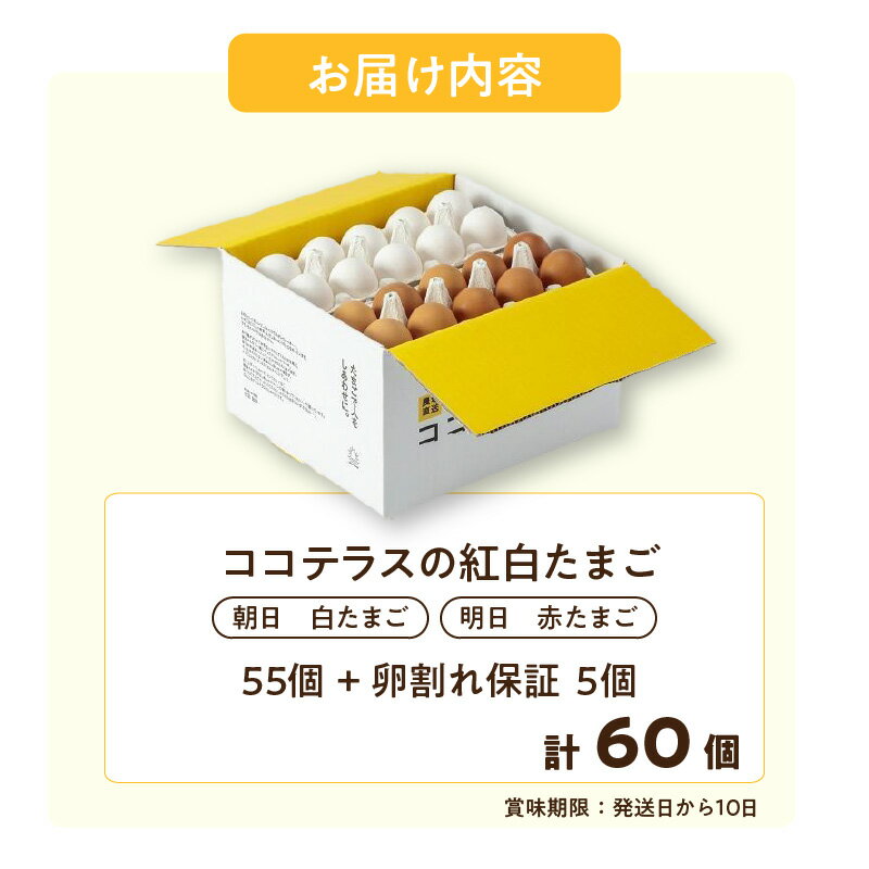 【ふるさと納税】ココテラスの 紅白たまご 55個 + 5個保証【計60個】 農家直送 新鮮 卵 純植物性飼料 飼料にこだわった 卵かけご飯 米たまご 白卵 赤卵 大容量 送料無料