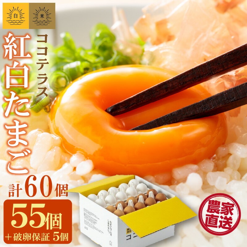 【ふるさと納税】ココテラスの 紅白たまご 55個 + 5個保証【計60個】【 JGAP認証 】農家直送 新鮮 卵 純植物性飼料 飼料にこだわった 卵かけご飯 米たまご 白卵 赤卵 大容量 送料無料